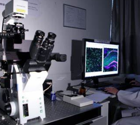 精準(zhǔn)診斷的新利器：分子影像技術(shù)在癌癥早期檢測中的應(yīng)用