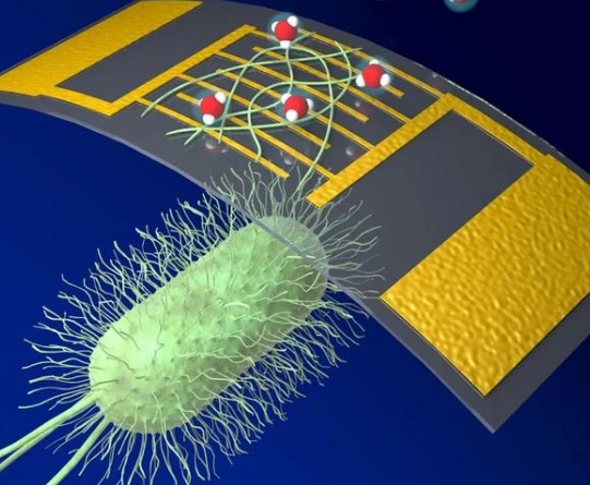 250957107876.jpg 11.jpg