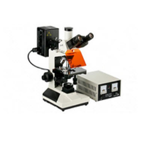 三目電腦型熒光生物顯微鏡 VMF20A