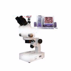 電腦型體視顯微鏡 XTL-3000D