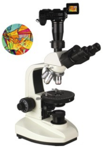 數(shù)碼型偏光顯微鏡 XP-203D