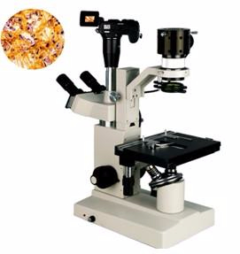 數(shù)碼型生物顯微鏡 XSP-15CD