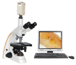 電腦型生物顯微鏡 XSP-12CC