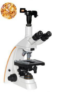 數(shù)碼型生物顯微鏡 XSP-12CD
