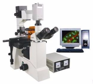 電腦型熒光顯微鏡 TXM-550C