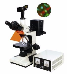 數(shù)碼型熒光顯微鏡 TXM-300D