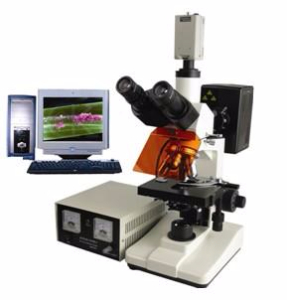電腦型熒光顯微鏡 TXM-200C