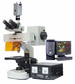 電腦型熒光顯微鏡 TXM-100C