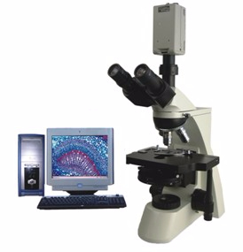 電腦型相襯顯微鏡 TXC-300C