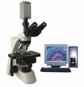 電腦型相襯顯微鏡 TXC-330C