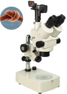 數(shù)碼型體視顯微鏡 XTL-330D