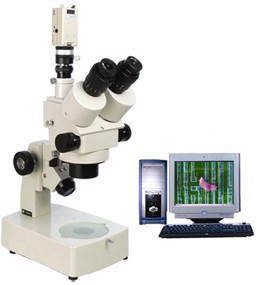 電腦型體視顯微鏡 XTL-300C
