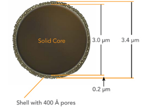 液相色譜柱 BIOCLASS Protein