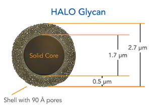 色譜柱 HALO 2 Peptide