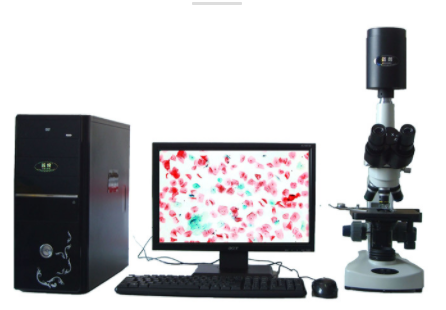 邁朗高倍智能變焦數(shù)碼顯微分析儀  sj-tmdi810（I）