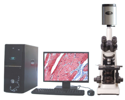 邁朗高倍智能變焦數(shù)碼顯微分析儀  sj-tmdi810（II）