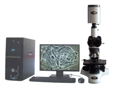 邁朗高倍智能變焦數(shù)碼顯微分析儀  sj-tmdi810（III）