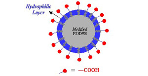 離子交換色譜柱  Antibodix