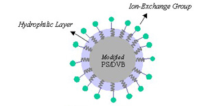 色譜柱   Proteomix CV-1