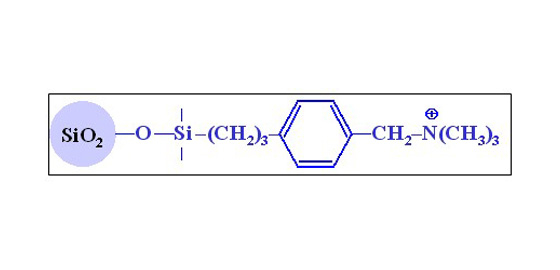 硅膠色譜柱   HP-SAX