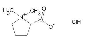 益母草專用柱   Polar-Propylamide