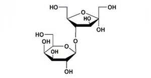 乳糖專用柱   Lac-Amino