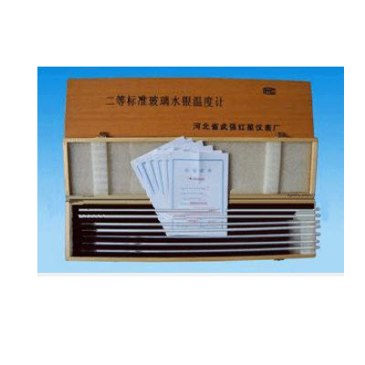 二等標(biāo)準(zhǔn)水銀溫度計 HG04-SY-2