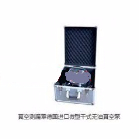 真空箱檢測(cè)儀 H24085
