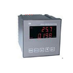 在線酸度計(jì) PHG9803