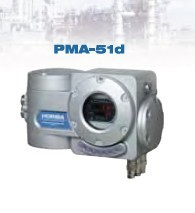 防爆氣體分析儀 PMA-51d/51p