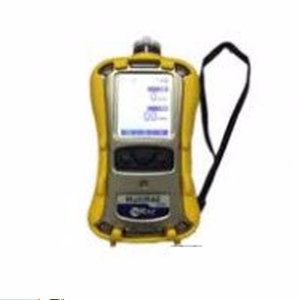 復(fù)合式氣體檢測(cè)儀  PGM-6248