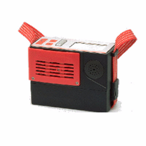 復(fù)合氣體檢測儀 Multiwarn II