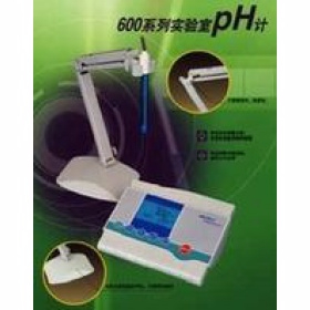高精度實(shí)驗(yàn)室酸度計(jì) PH-620