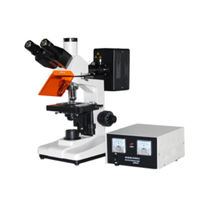 落射熒光顯微鏡 YL3001