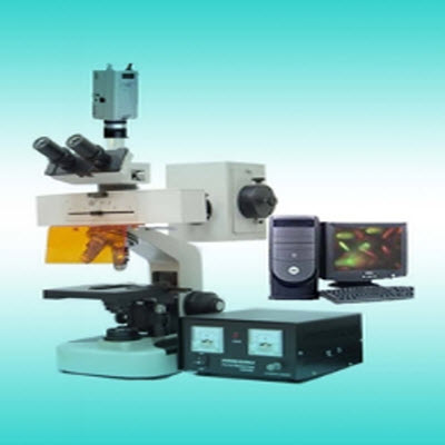 熒光顯微鏡 YYF-200