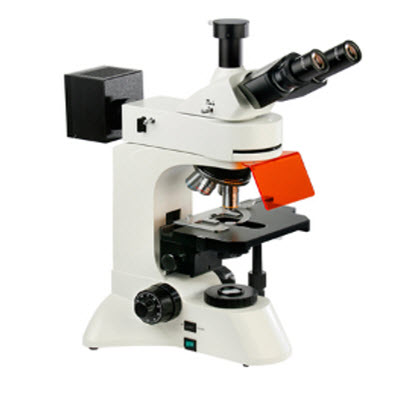 正置LED熒光顯微鏡 BFM-500