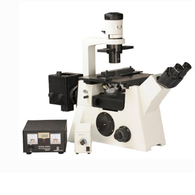 高檔倒置熒光顯微鏡  DM-51