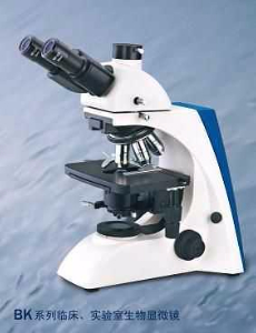 高級實驗室生物顯微鏡 BK300/BK5000