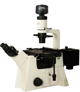 倒置無窮遠(yuǎn)熒光顯微鏡 DFM-80C