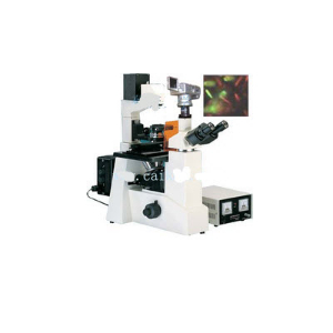 數(shù)碼型倒置熒光顯微鏡 DFM-60D