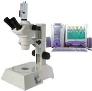 立體顯微鏡 ZOOM-600C