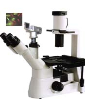 數(shù)碼型倒置顯微鏡 XDS-330D