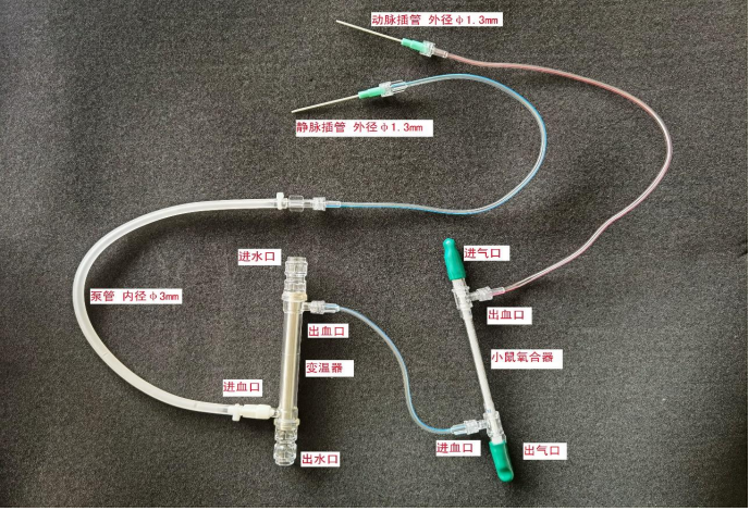 大鼠胚胎氧合變溫器套包