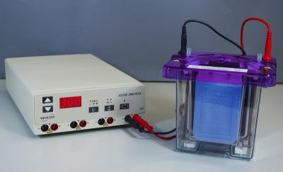 Mini V-GES（Western Blot系統(tǒng)）