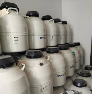 儲存型液氮罐 XC 20