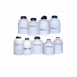 儲(chǔ)存型液氮罐 XC33/22