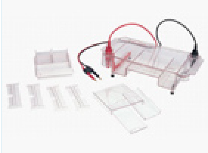 多功能水平電泳槽 HE-120