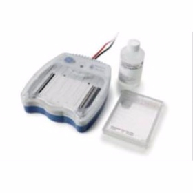 預制膠水平蛋白電泳系統(tǒng) GE Amersham? ECL? Gel system