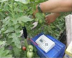 莖流量測定儀 ECA-YL03