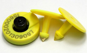 電子豬耳標(biāo) GZTAG-B001